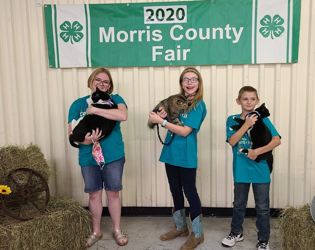 Morris County Fair Photos
